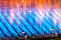 Advie gas fired boilers